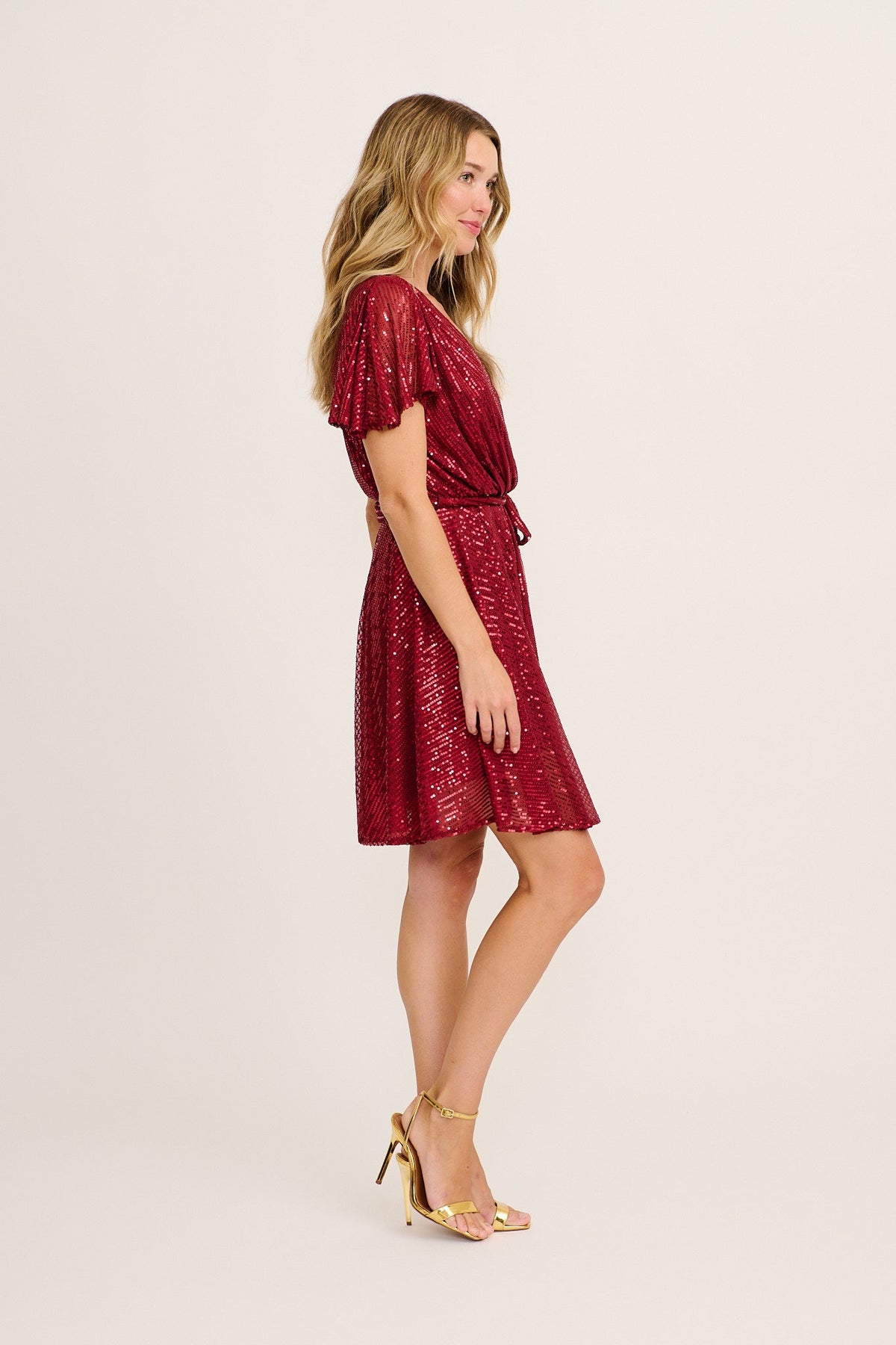 Amoretto Dress in Red Wine Sequin