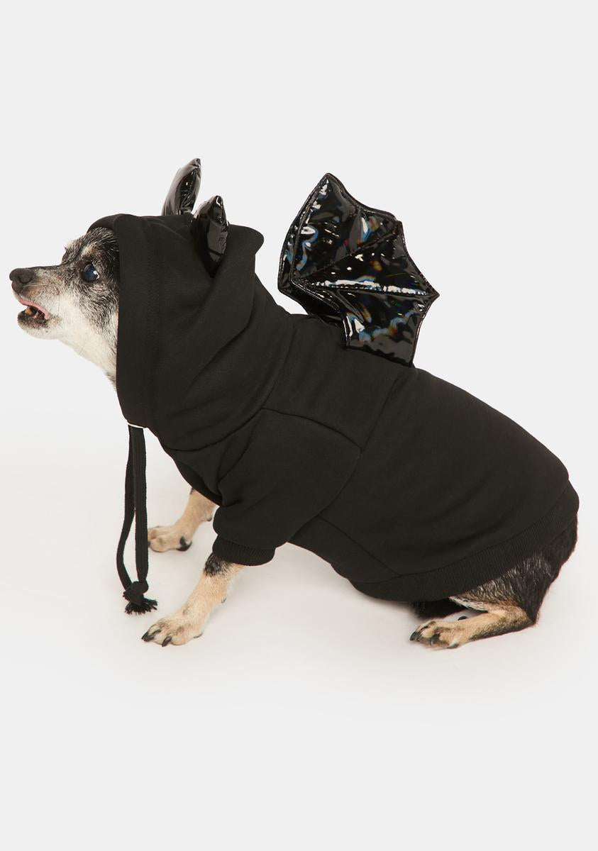 Fly By Night Pet Hoodie