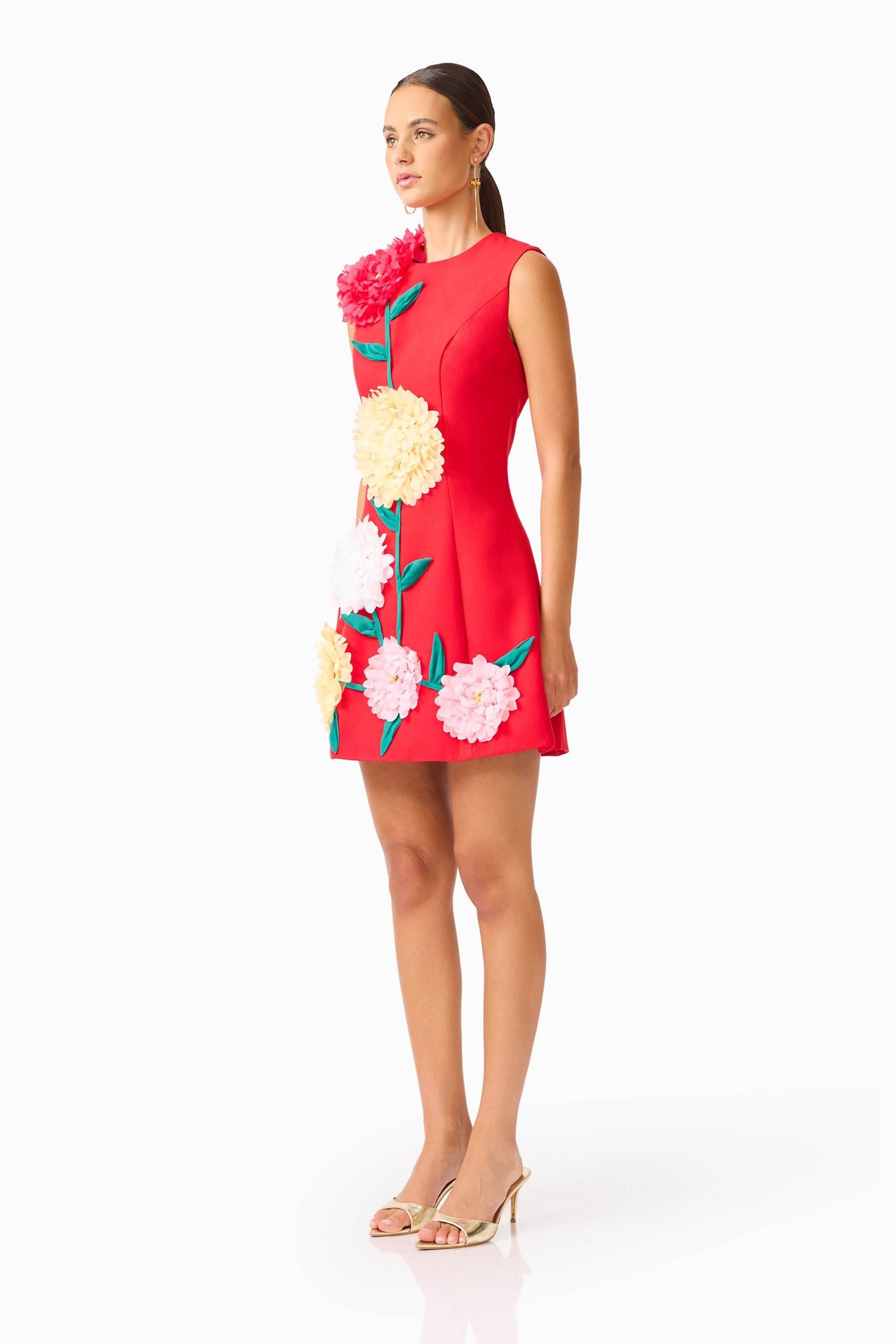 Buttercup Embroidered Mini Dress in Red