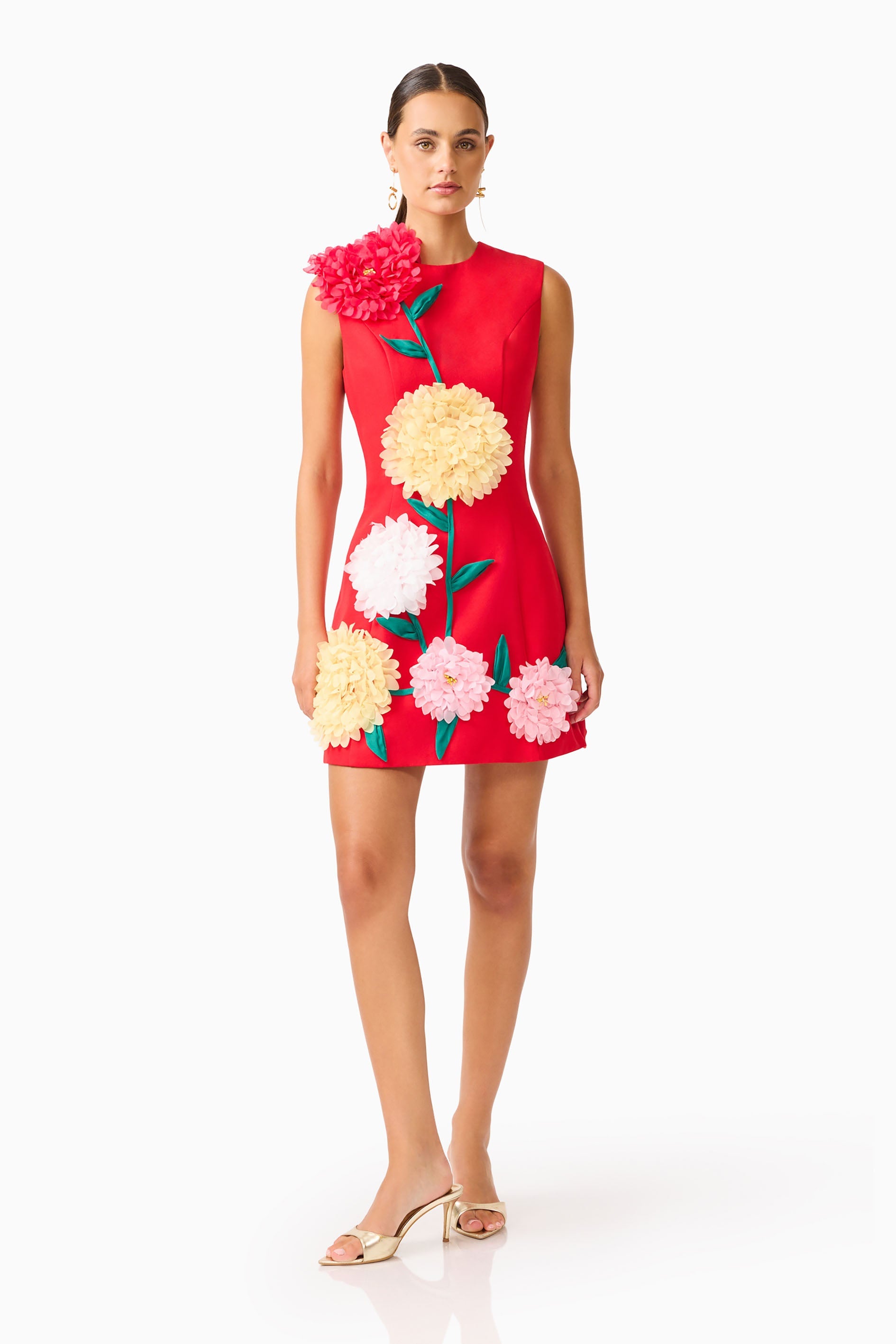 Buttercup Embroidered Mini Dress in Red