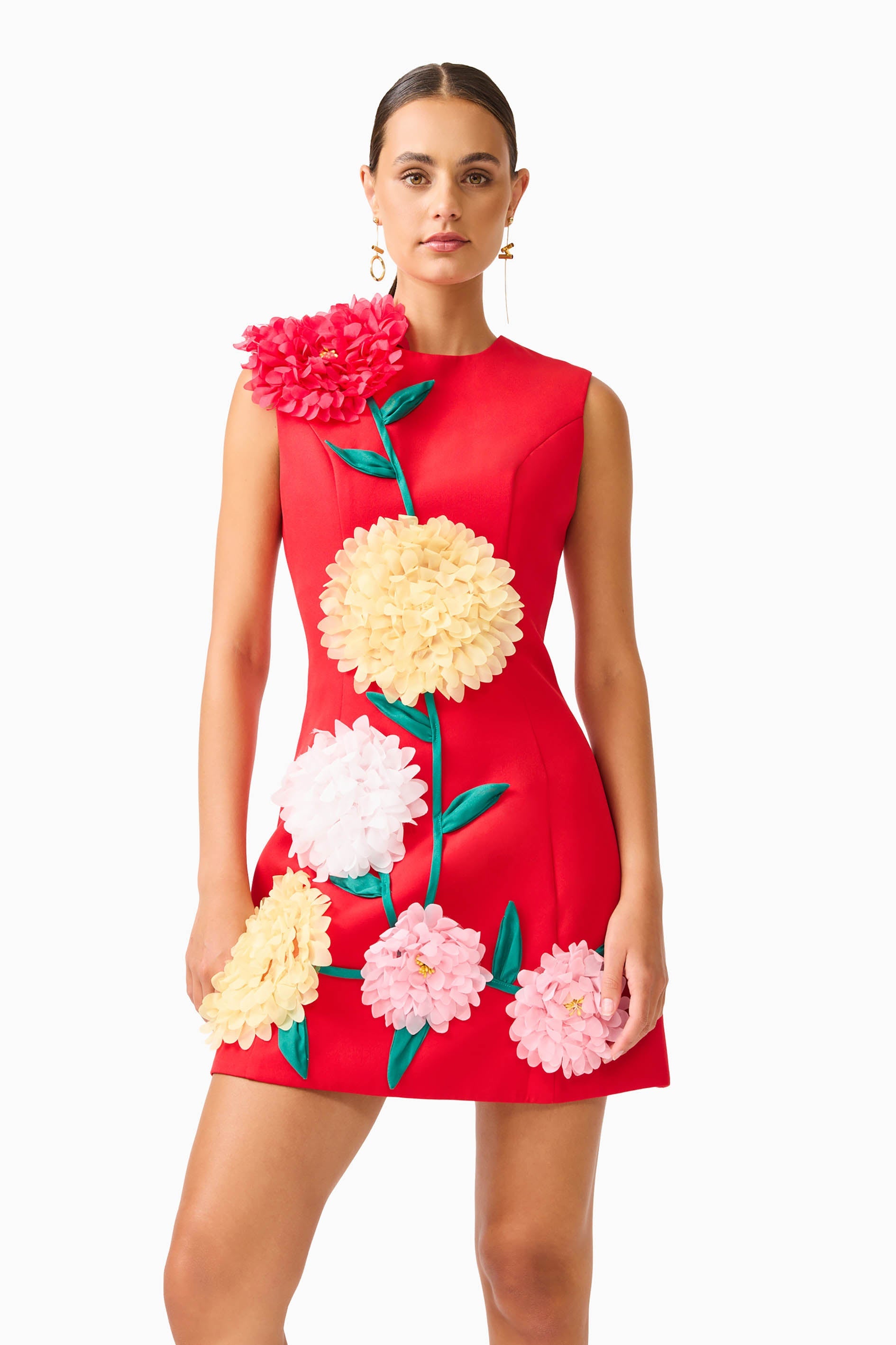 Buttercup Embroidered Mini Dress in Red
