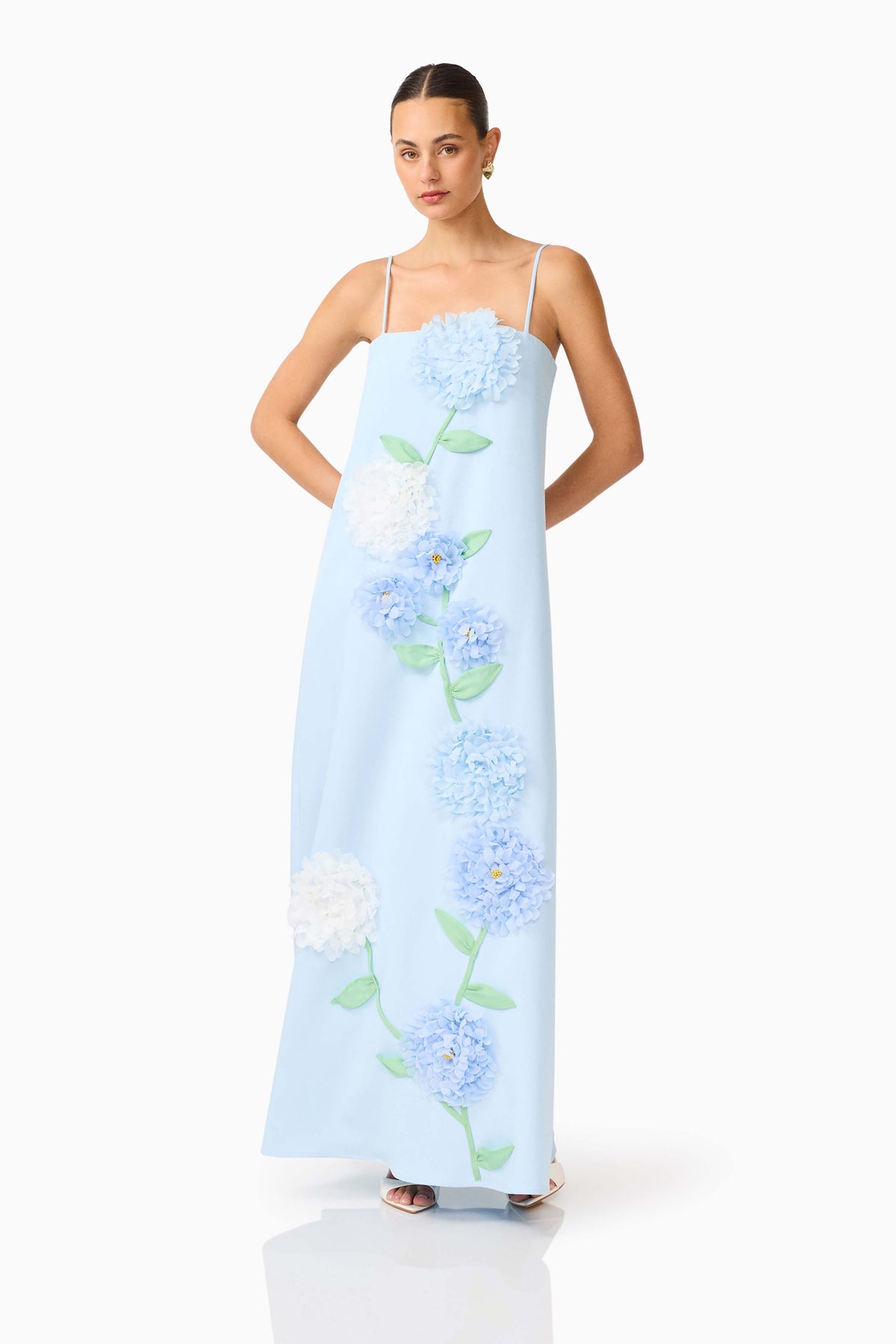 Buttercup Embroidered Maxi Dress In Blue