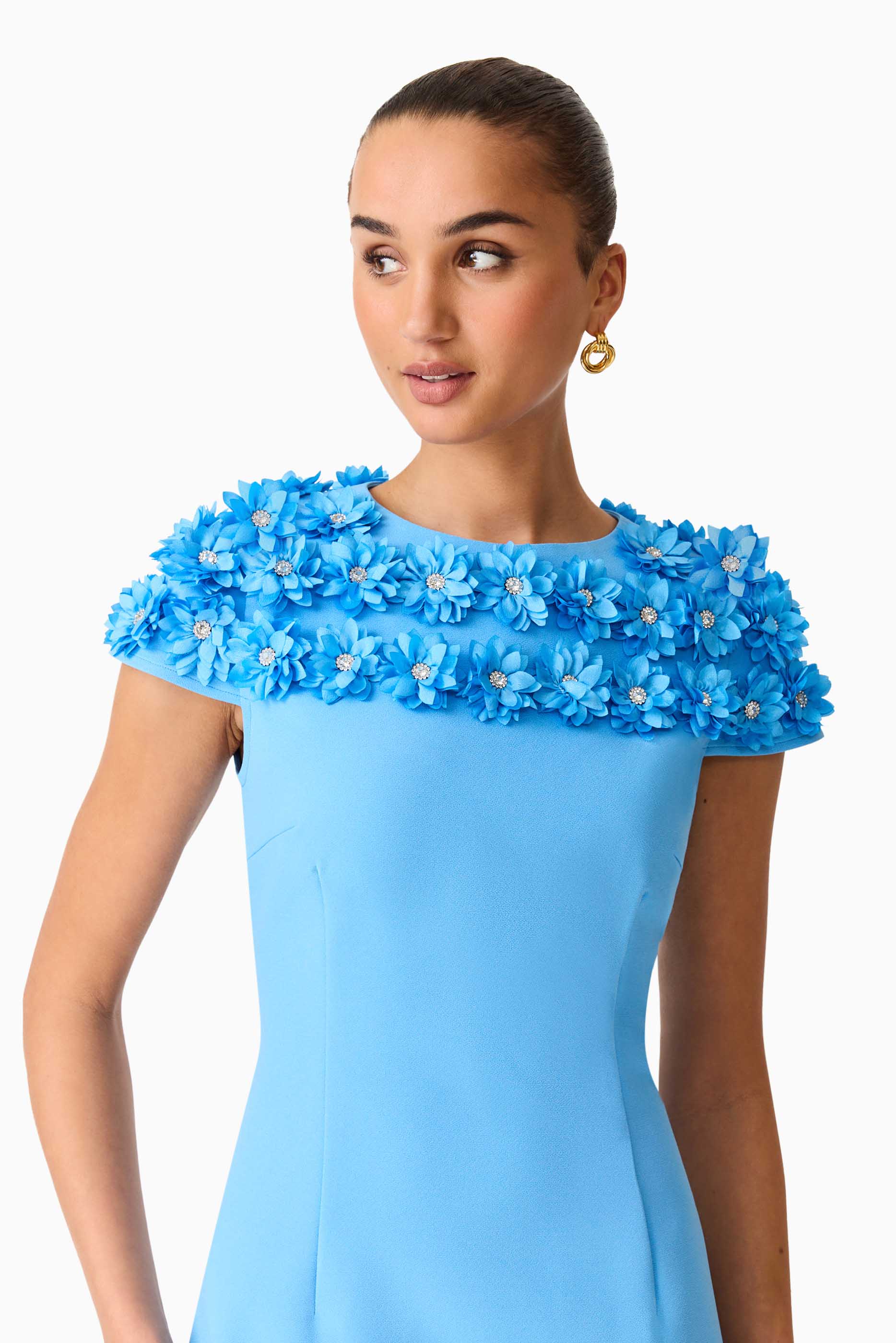 Dali Floral Applique Mini Dress in Blue