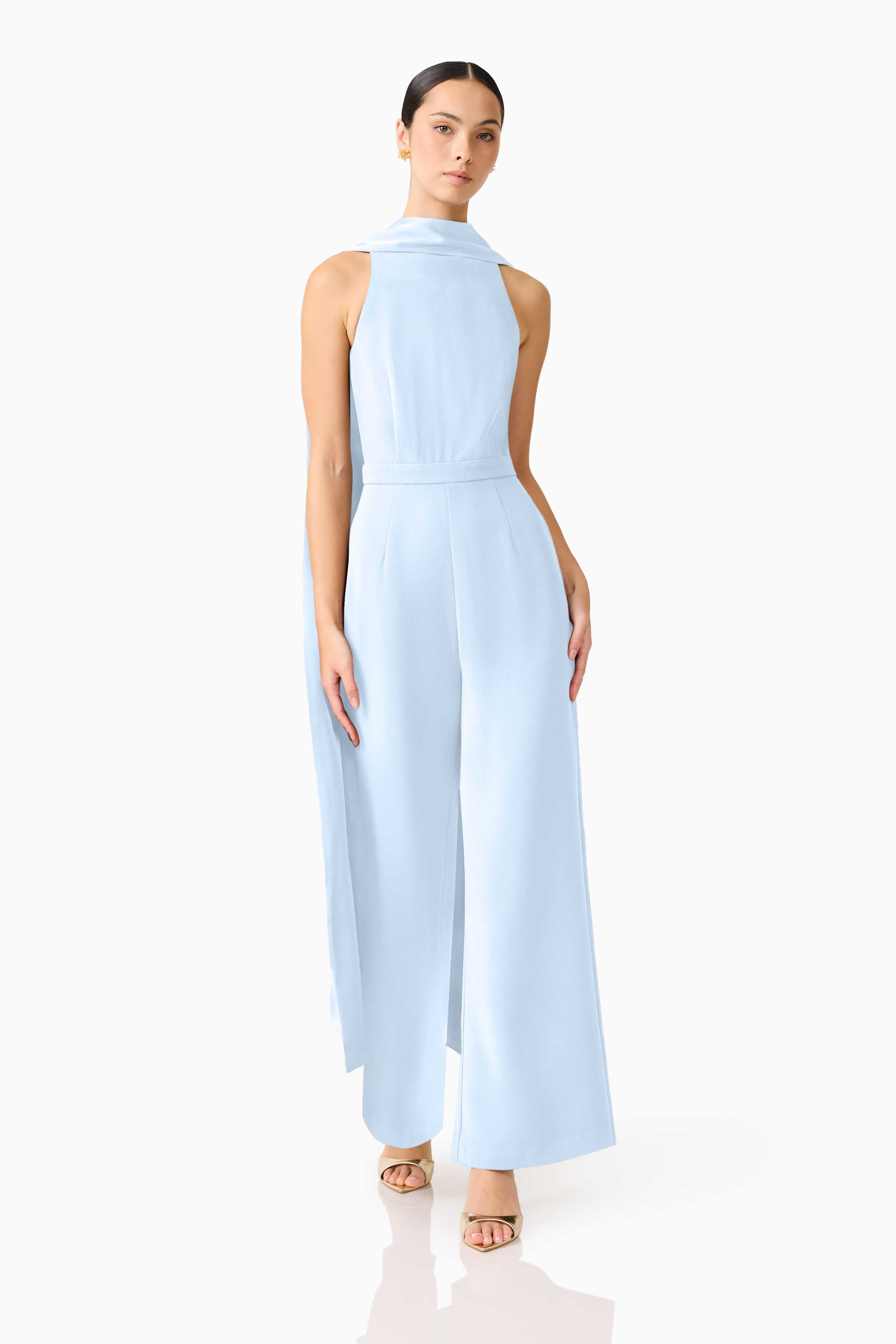 Anaya Wide Leg Jumpsuit in Blue