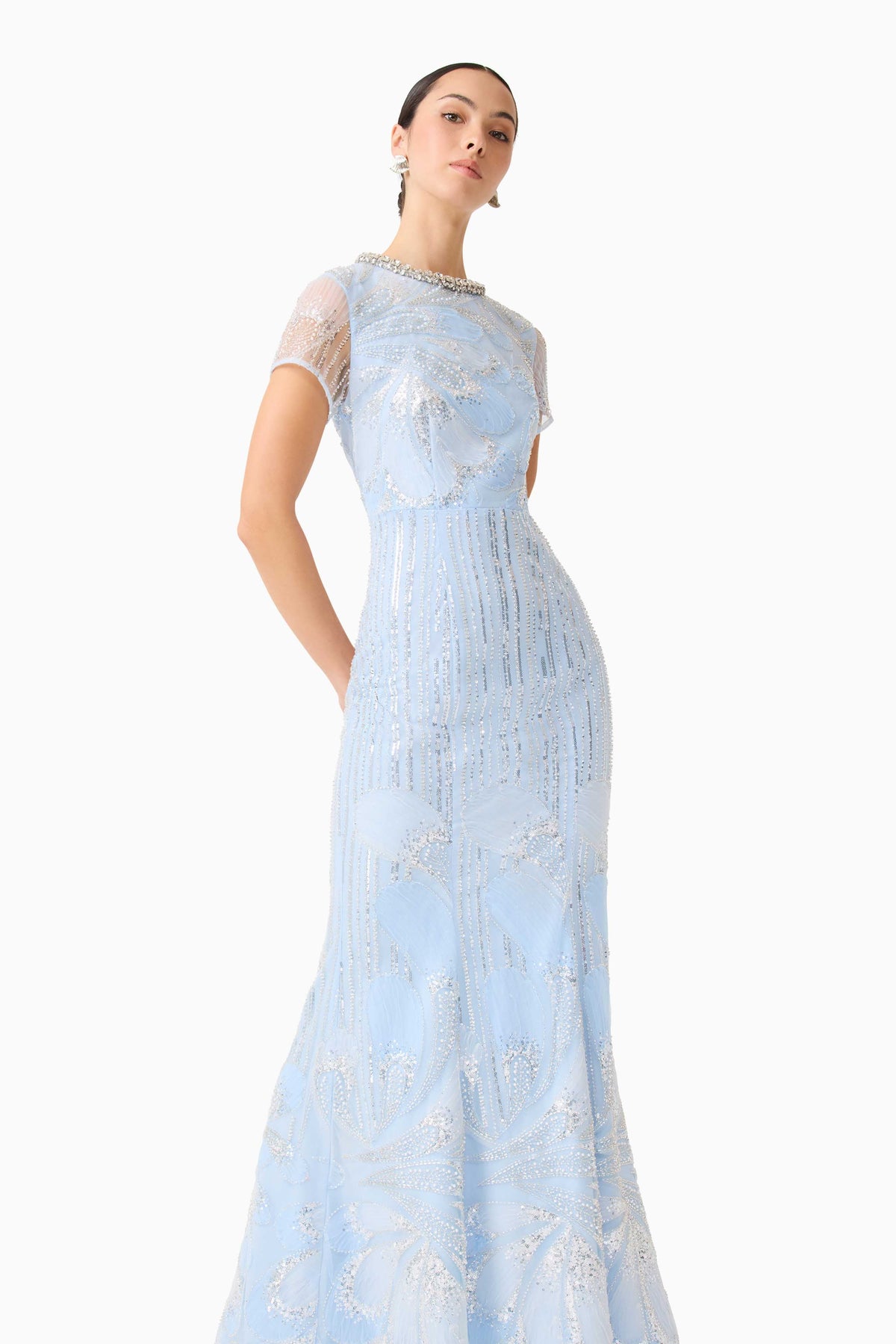 Annabelle Embellished Gown in Blue