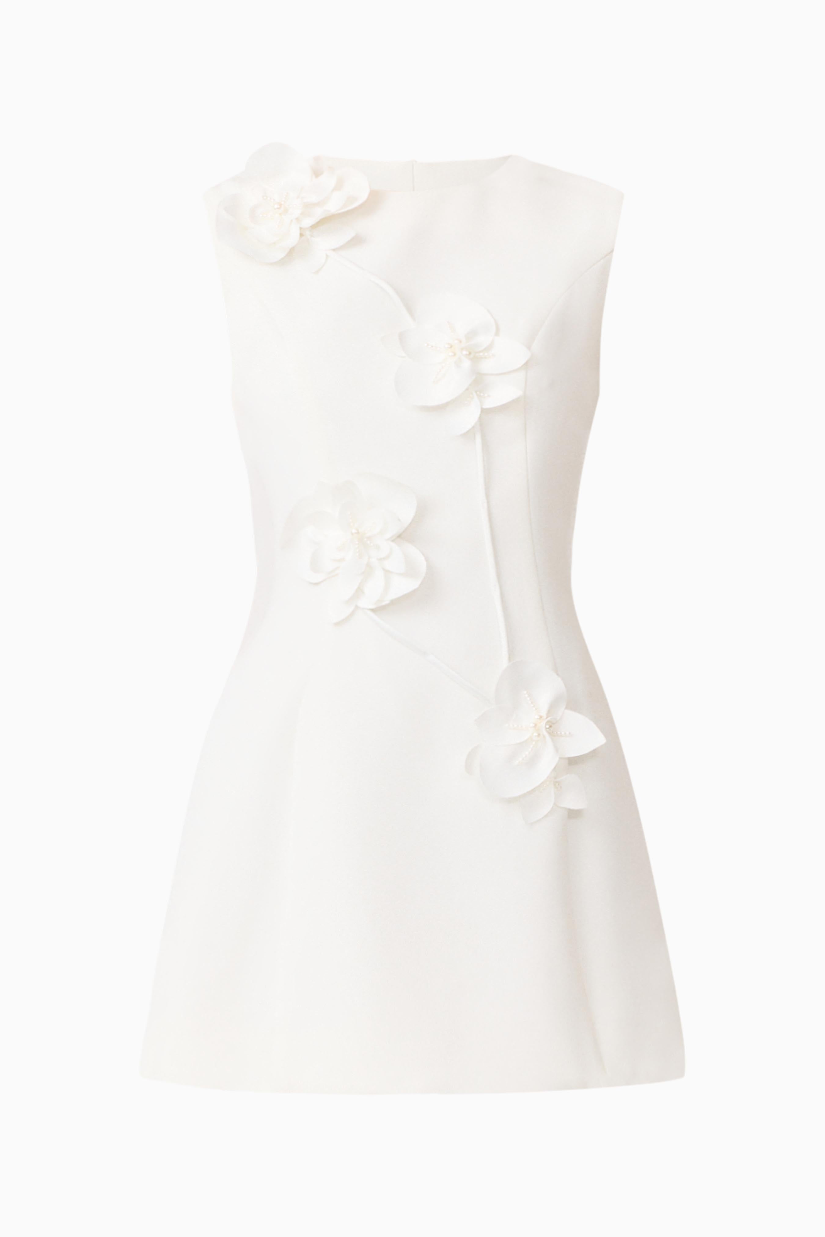 Reina Applique Mini Dress Dress White