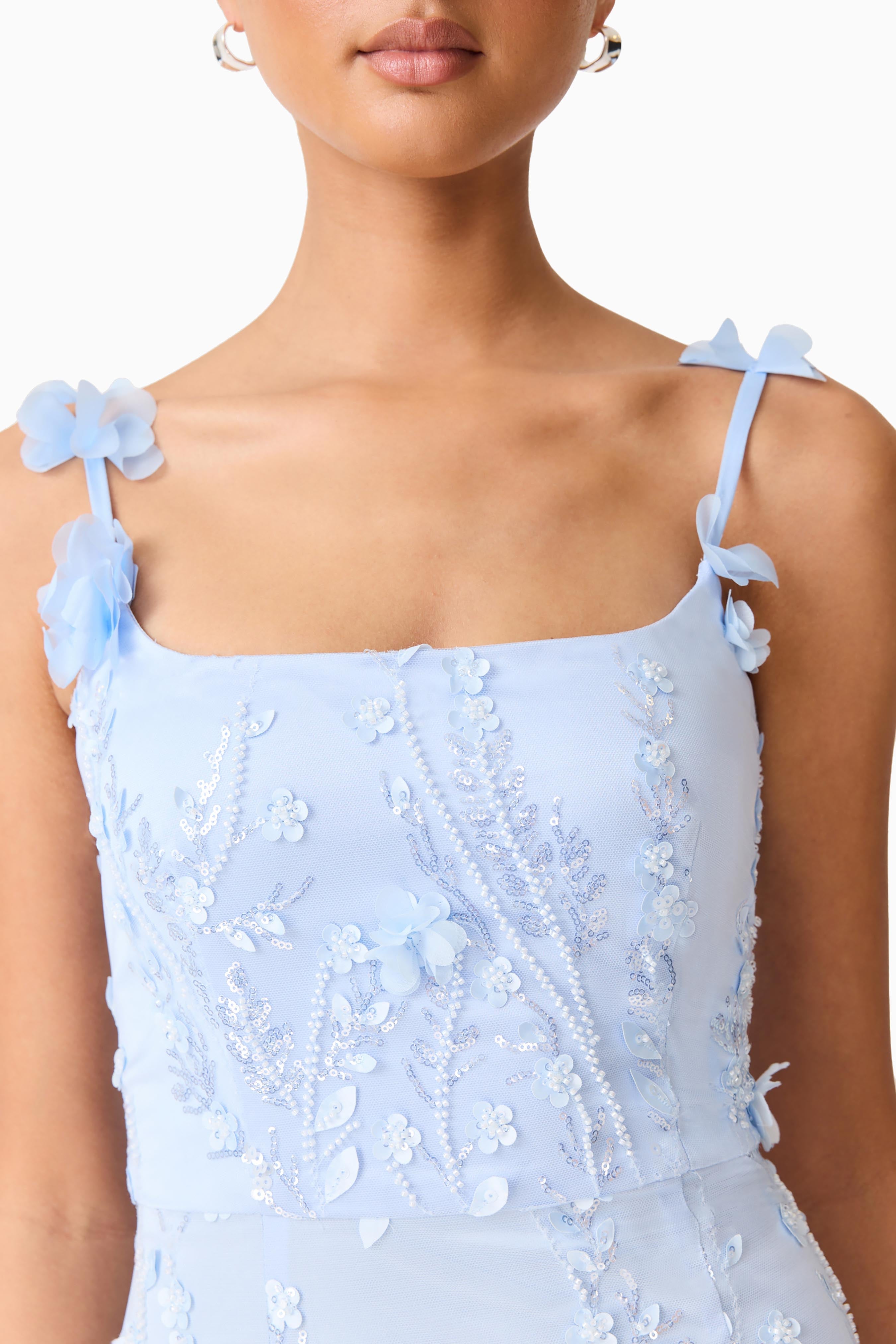 Rina Embellished Gown in Blue