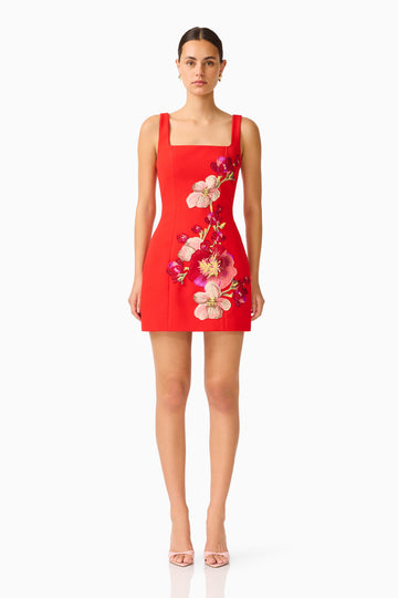 Fleurisca Embroidered Party Mini Dress in Scarlet Red