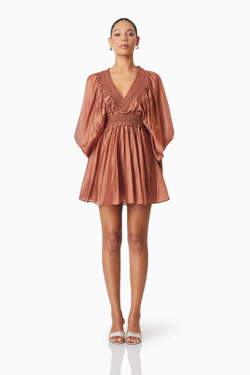 Fauna Resort Wear Mini Dress In Brown