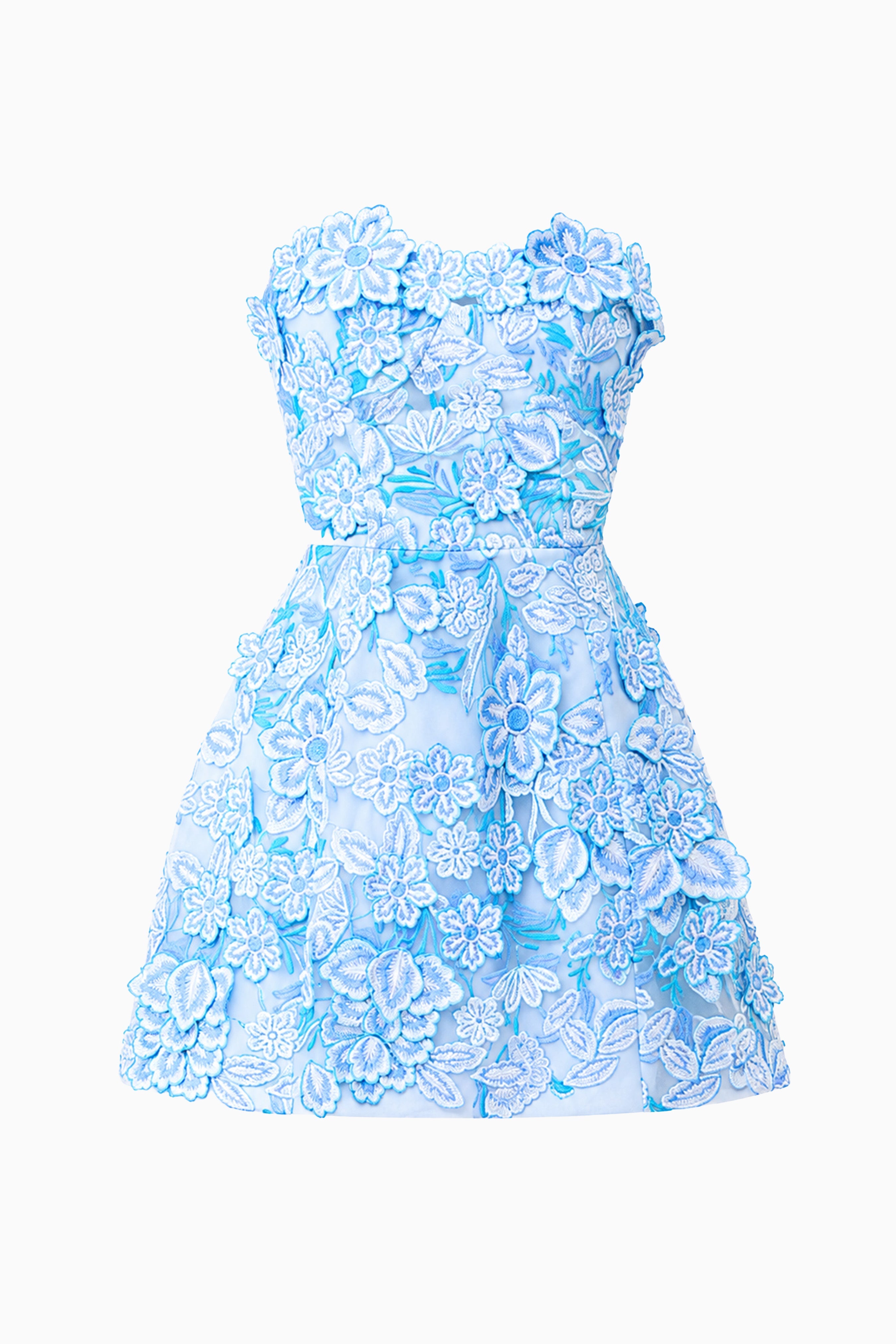 Roseate Floral Mini Dress in Blue