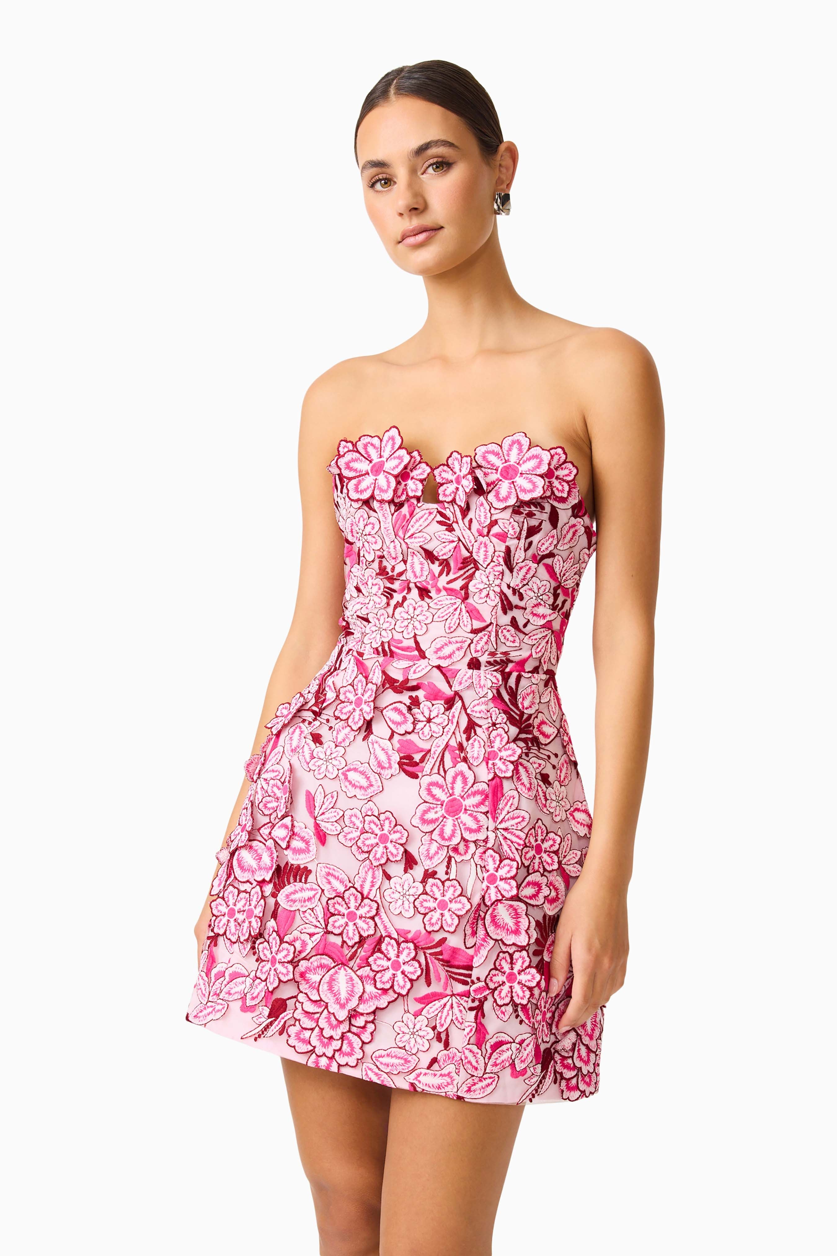 Roseate Floral Mini Dress in Pink