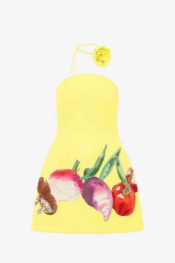Zaria Bustier Mini Dress - Harvest Print