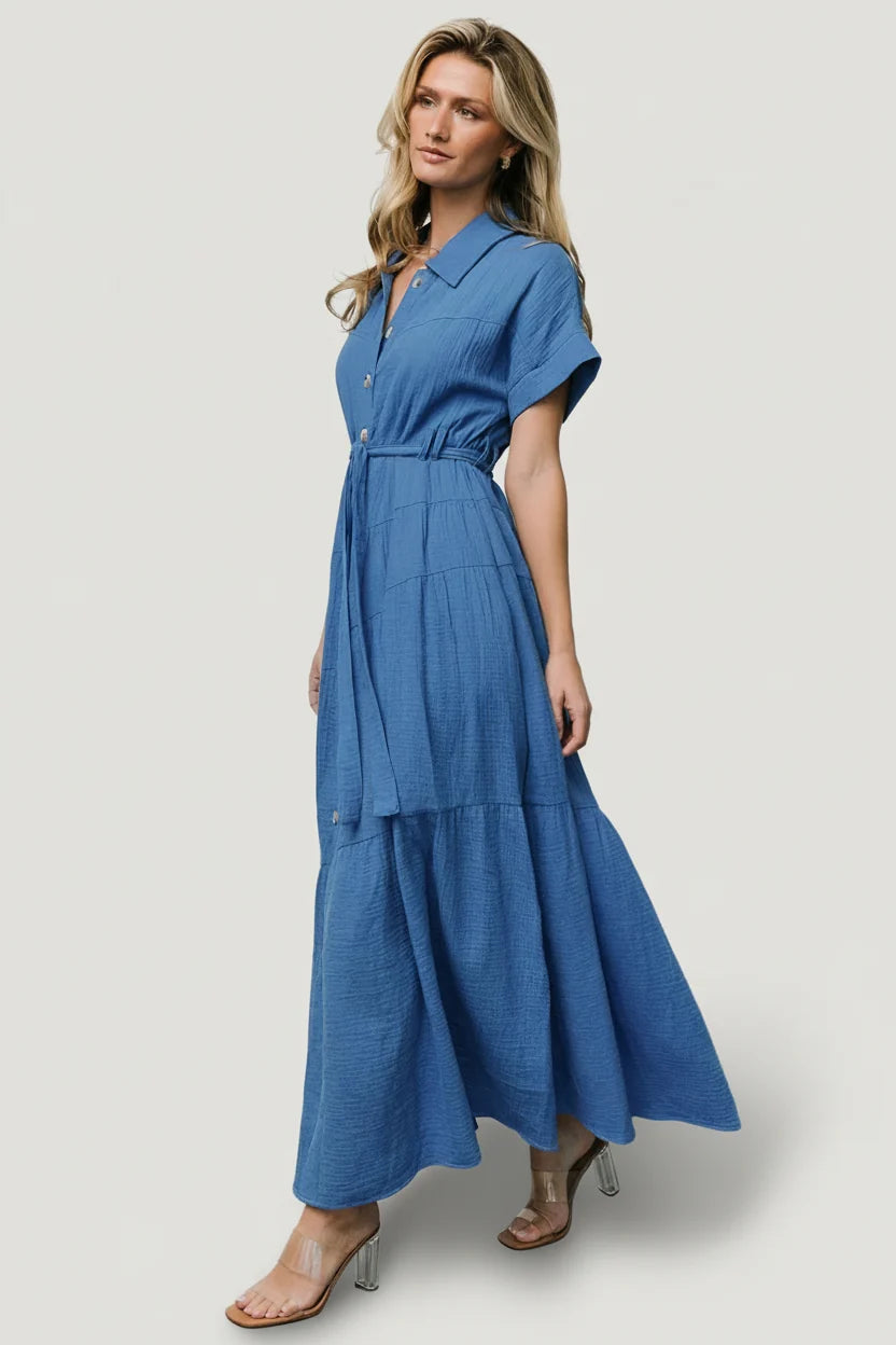 Aizey Button Up Maxi Dress | Blue