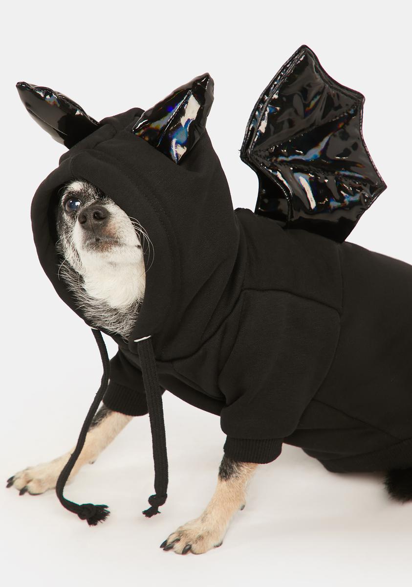 Fly By Night Pet Hoodie