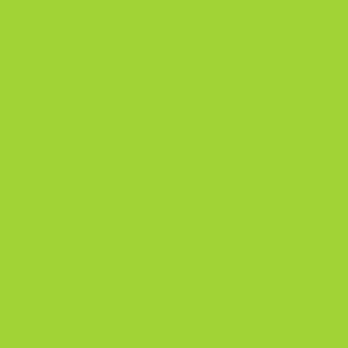 Case Of The Grumpies Fuzzy Slides - Light Green