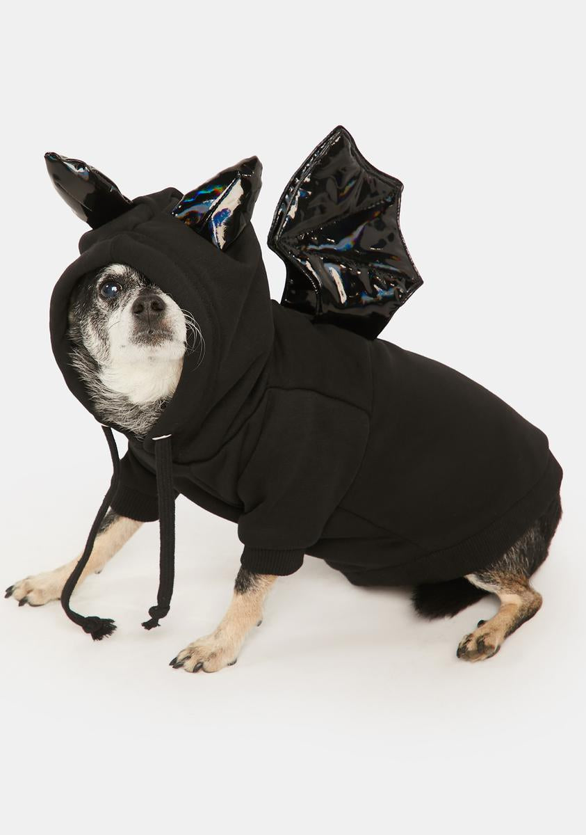 Fly By Night Pet Hoodie